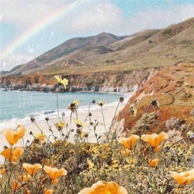 365在线下载手机版