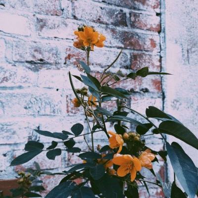 半岛.体育BANDAO SPORTS